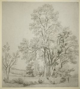 Ett bestånd av almträd (recto); En studie av östra Bergholt med kyrkan (verso) av John Constable