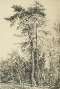 Granar, c.1833 av John Constable