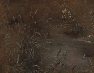 Rusar vid en pool av John Constable