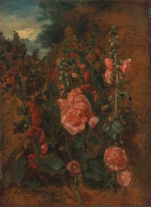 Studie av stockrosor av John Constable