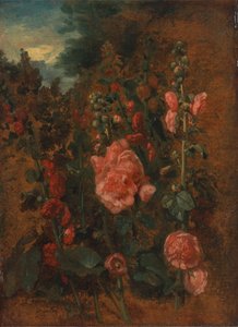 Studie av stockrosor, ca. 1826. av John Constable