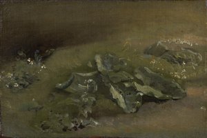 Studie av en kardborre, c.1810-14 eller c.1828 av John Constable