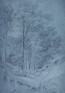 Studie av ask och andra träd (penna på papper, förhöjd med vit krita) av John Constable