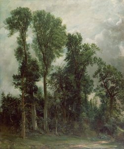 Träd i Hampstead av John Constable
