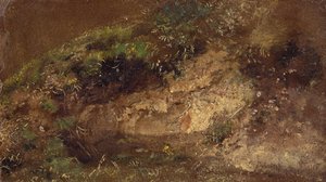 Undervegetation, ca 1821 (olja på papper på kartong) av John Constable