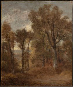 Skogslandskap med utsikt över Dedham Vale av John Constable
