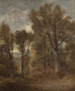 Skogsscen med utsikt över Dedham Vale, c.1802-03 av John Constable