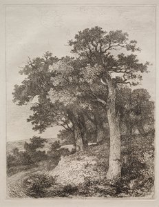 På Colney. av John Crome
