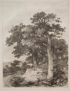På Colney av John Crome