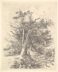Trädstammar och lane, 1811-13. av John Crome