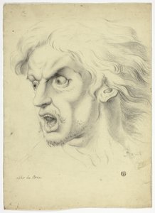 Skräck av John Downman