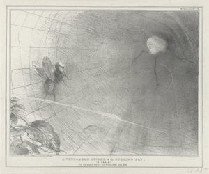 Talleyrand as een spin in his web, 1832 En ärevördig spindel & en surrande fluga. (En fabel) (titel på objekt) Politiska skisser (serietitel) av John Doyle
