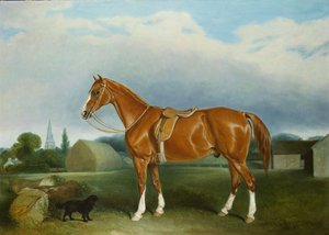 En kastanjejägare och en spaniel vid gårdsbyggnader av John E. Ferneley