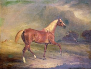 Fux arabhingst av John E. Ferneley