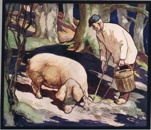 En gris som söker efter tryffel, illustration från "Hjälparna utan händer" av Gladys Davidson, publicerad 1919 (litho i färg) av John Edwin Noble