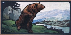 Brun björn av John Edwin Noble