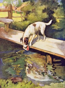 The Dog and the Shadow från "Aesop
