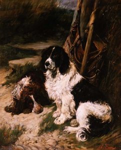 Brun och vit och svartvit spaniel av John Emms