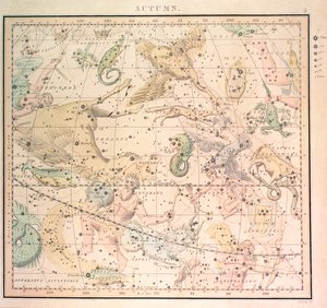 天体図：秋、干支と星の位置を示す（彫刻）スウェーデン語