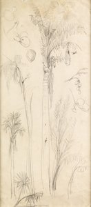 Palmer (penna på papper) av John Everett Millais