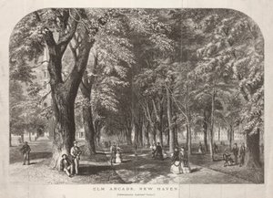 Elm Arcade View of the Green av John Filmer