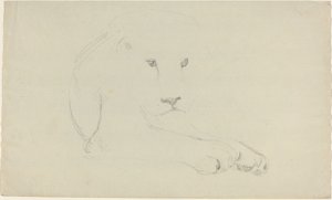Lejon av John Flaxman