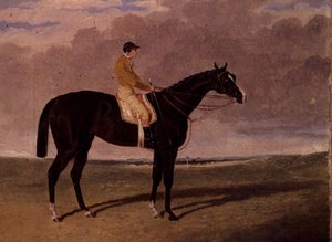 Queen of Trumps, en kapplöpningshäst med jockey
