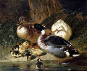 Ankor och ankungar av John Frederick Herring Senior