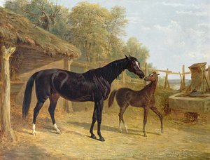 Levity, som tillhörde J.C. Cockerill Esq., med sitt föl Queen Elizabeth, som tillhörde Lord Dorchester, 1843
