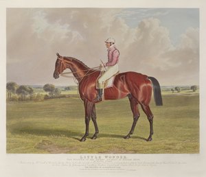 "Little Wonder", vinnaren av Derby Stakes i Epsom, 1840, graverad av Charles Hunt (1803-77), utgiven av S. und J. Fuller, 1840 (akvatint). av John Frederick Herring Senior