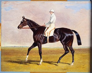 Lucetta" med J. Robinson Up, 1834 av John Frederick Herring Senior