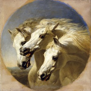 Faraos hästar, 1848