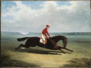 Baronen med Bumpy Up, på Newmarket av John Frederick Herring Senior