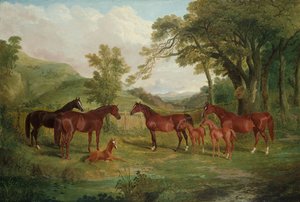 Streatlam stuteri, ston och föl, 1836