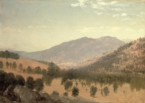 Bergen Park, Colorado (olja på duk) av John Frederick Kensett
