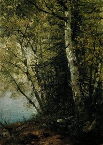 Studie av bokar, 1872. av John Frederick Kensett