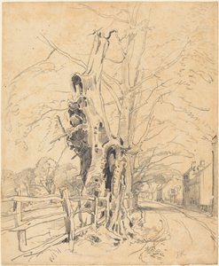 Träd vid ett staket av John Frederick Kensett