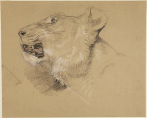 Huvud av en lejoninna av John Frederick Lewis
