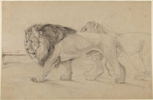 Lejon av John Frederick Lewis