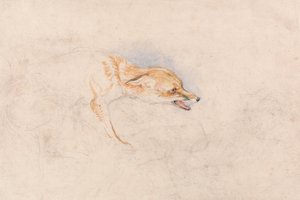 Studie av en hukande räv, vänd åt höger av John Frederick Lewis