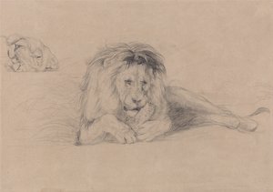 Studie av ett lejon och studie av en lejoninnas huvud av John Frederick Lewis