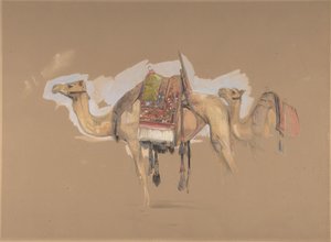 Två kameler, ca. 1843. av John Frederick Lewis