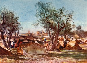 Beduinläger utanför Jerusalems norra mur, 1902. av John Fulleylove