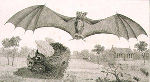 Vampyren eller spöket från Guyana av John Gabriel (after) Stedman