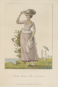 Kvinnlig quadroon-slav från Surinam av John Gabriel Stedman