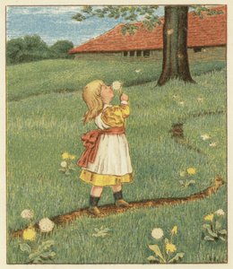 Maskrosfrön (färg litho)