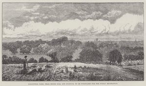 Brockwell Park, nära Herne Hill och Dulwich, ska köpas för allmän rekreation. av John Gilbert