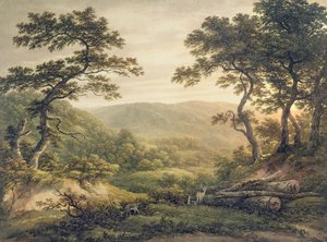 Needlewood Forest, Hampshire (akvarell på papper) av John Glover