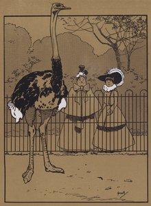 Strutsfjädrar (färg litho) av John Hassall