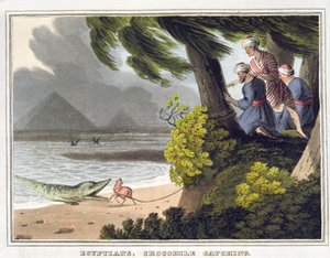 Egyptians Crocodile Catching, graverad av Matthew Dubourg (fl.1785-1820), utgiven av Edward Orme